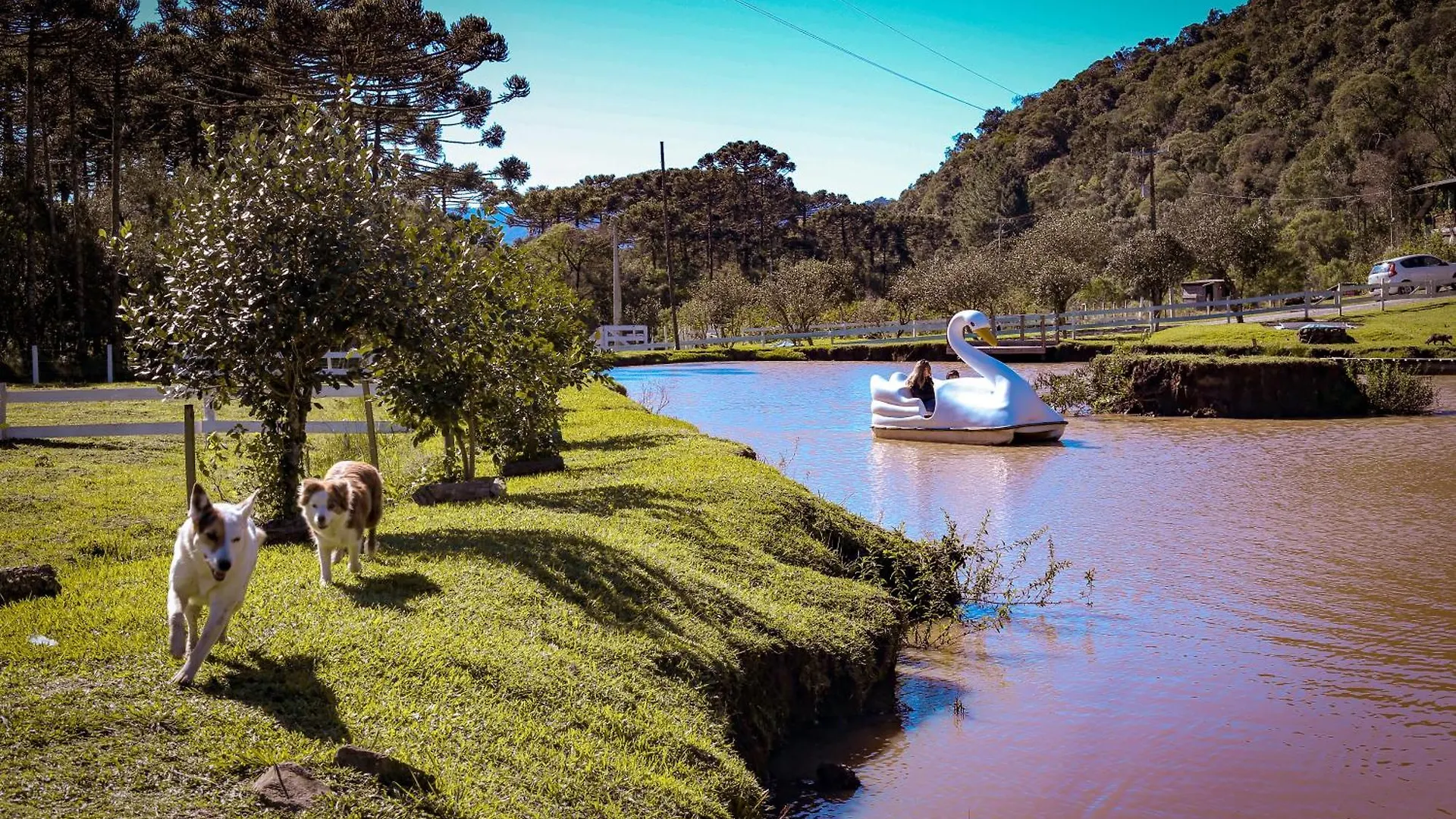 Pousada Nó de Pinho Urubici Brasil