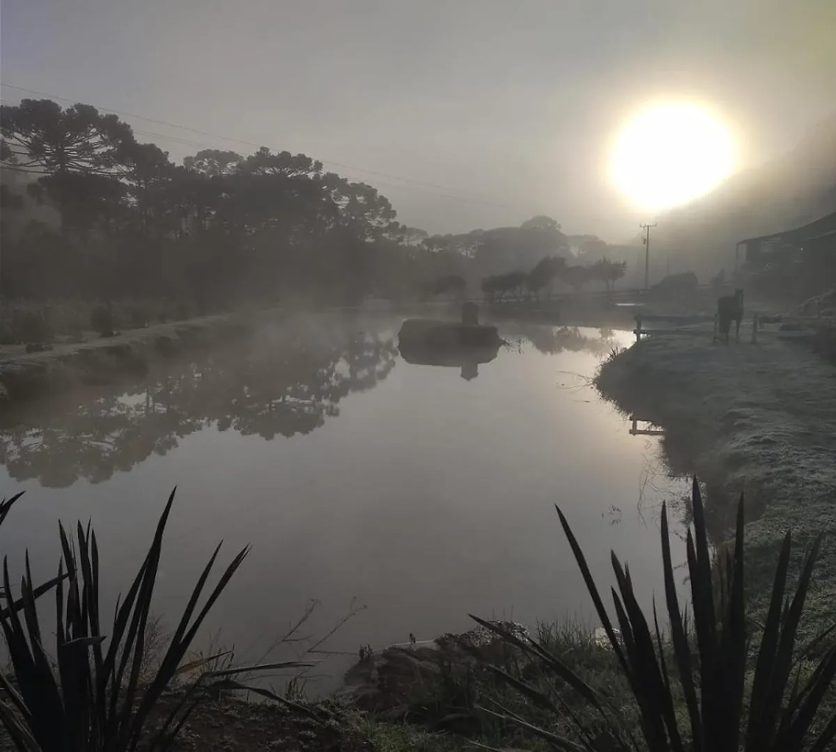 Inn Pousada No De Pinho Urubici